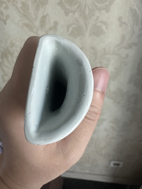 古玩陶瓷青花花鳥紋壁瓶真品鑒賞圖