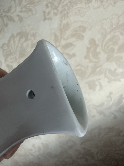 古玩陶瓷青花花鳥紋壁瓶真品鑒賞圖