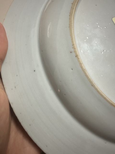 古玩陶瓷花卉紋粉彩盤真品鑒賞圖