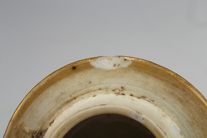 古玩陶瓷清雍正·粉彩富貴白頭紋蓋壺
真品鑒賞圖