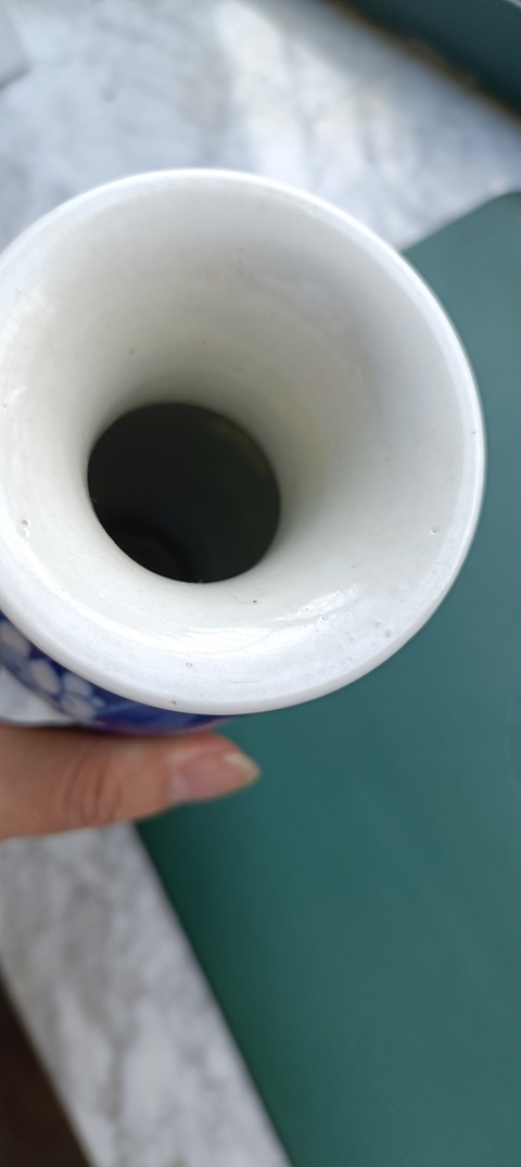 古玩陶瓷晚清青花冰梅紋瓶真品鑒賞圖