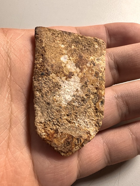 古玩玉器三刀蟬真品鑒賞圖