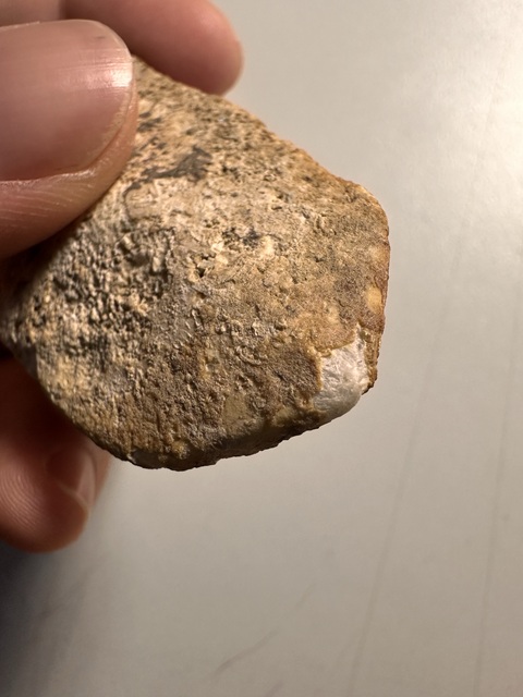 古玩玉器三刀蟬真品鑒賞圖