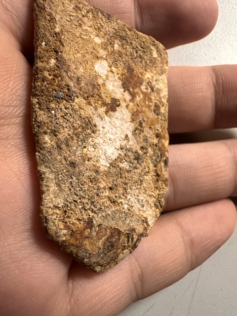 古玩玉器三刀蟬真品鑒賞圖