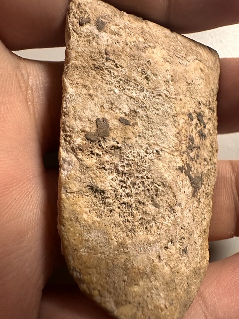 古玩玉器三刀蟬真品鑒賞圖