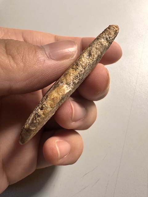 古玩玉器三刀蟬真品鑒賞圖
