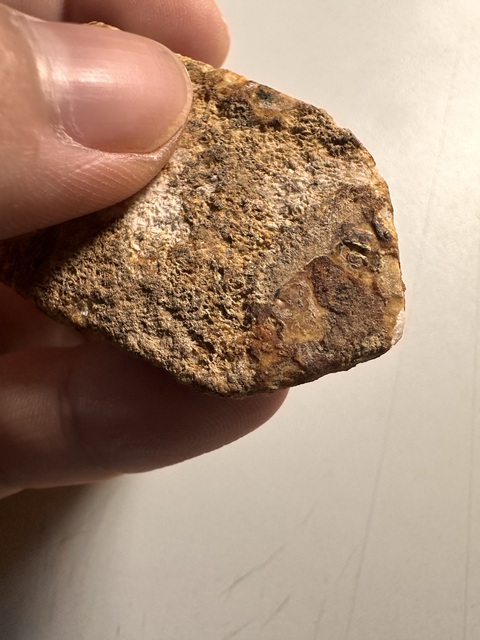 古玩玉器三刀蟬真品鑒賞圖