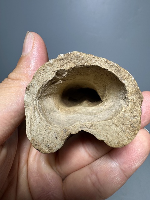 古玩陶瓷燈真品鑒賞圖