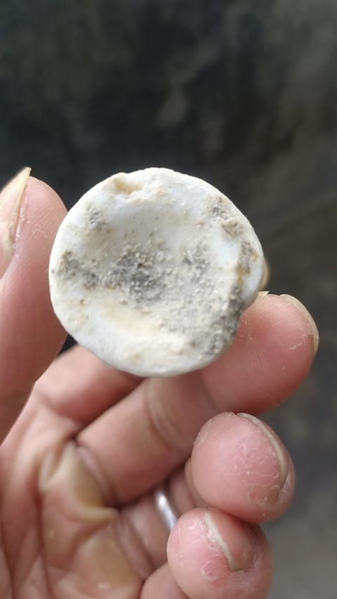 古玩陶瓷青白釉褐彩撇口瓶真品鑒賞圖