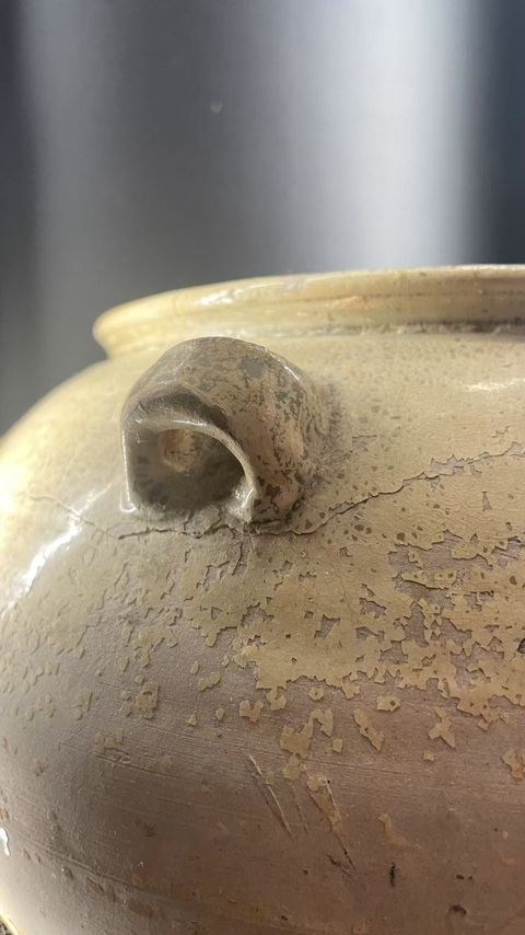 古玩陶瓷青瓷四系罐真品鑒賞圖