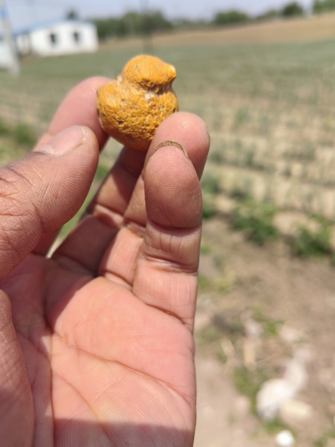 古玩雜項奇石真品鑒賞圖