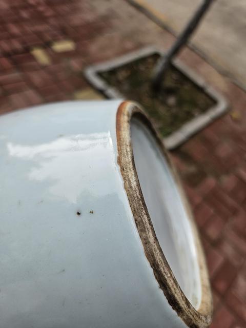 古玩陶瓷清晚期 粉彩人物紋觀音瓶真品鑒賞圖