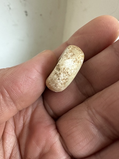 古玩玉器地方玉扣真品鑒賞圖