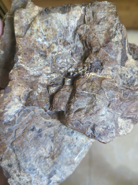 古玩雜項奇石真品鑒賞圖