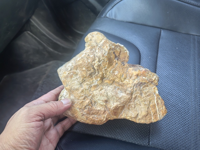 古玩雜項奇石真品鑒賞圖