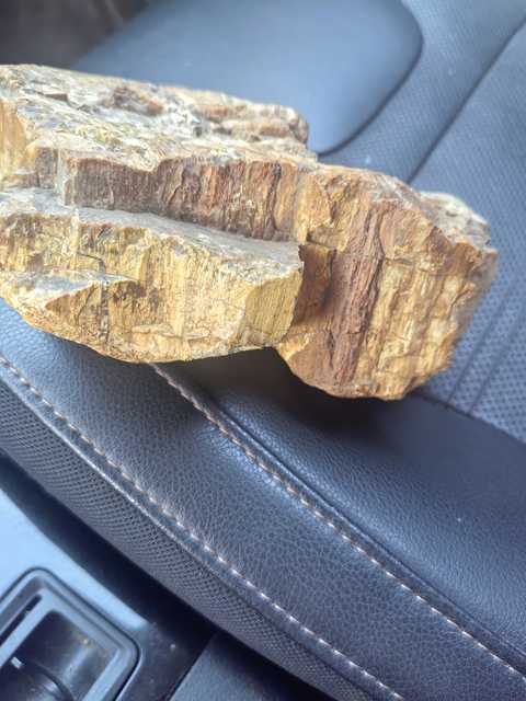 古玩雜項奇石真品鑒賞圖