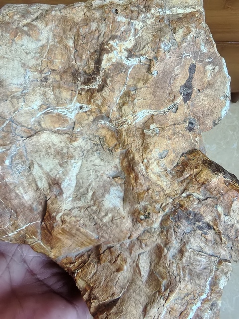 古玩雜項奇石真品鑒賞圖