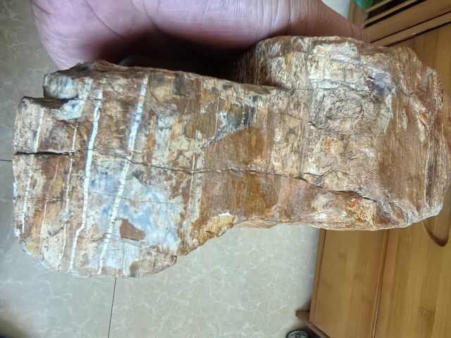 古玩雜項奇石真品鑒賞圖