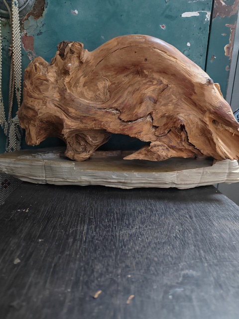 古玩雜項木頭擺件真品鑒賞圖