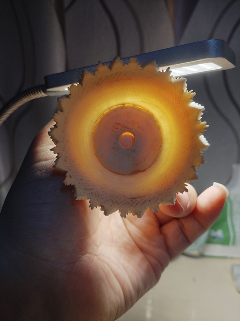 古玩雜項牙雕鬼工球真品鑒賞圖