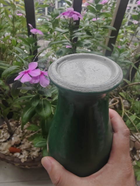 古玩陶瓷晚清綠哥釉觀音瓶真品鑒賞圖