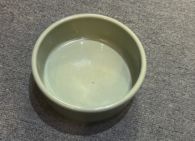 古玩陶瓷清|豆青釉夔龍紋水洗拍賣,當前價格6666元