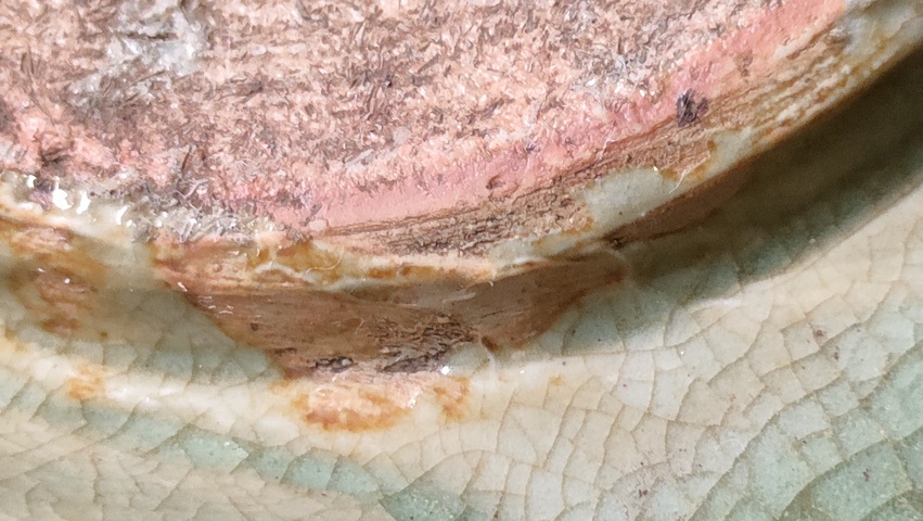 古玩陶瓷明代龍泉窯系青釉劃花香爐真品鑒賞圖