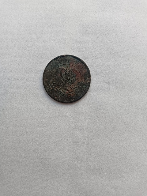 古玩錢幣湖南雙旗二十文銅元真品鑒賞圖