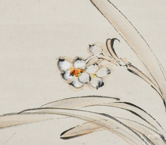 古玩字畫張大千《蘭花》真品鑒賞圖