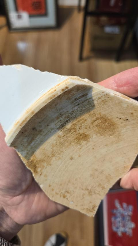 古玩陶瓷青花花卉紋標本真品鑒賞圖