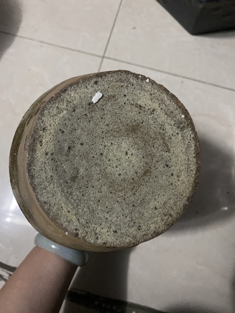 古玩陶瓷印花盤口瓶真品鑒賞圖