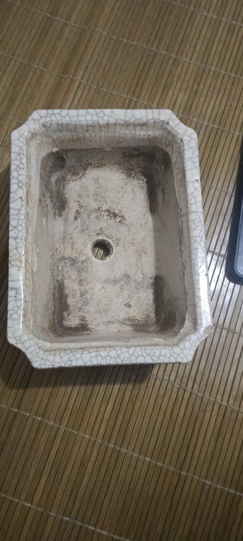 古玩陶瓷哥釉花盆真品鑒賞圖