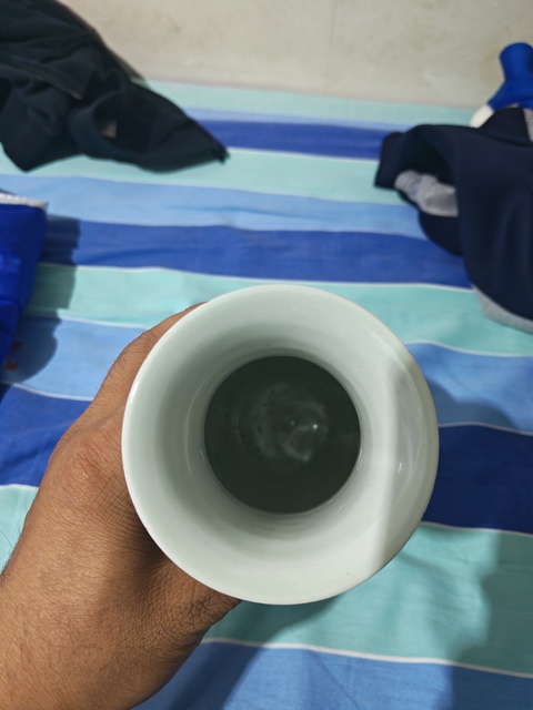 古玩陶瓷清道光 青花洞石菊花觀音瓶真品鑒賞圖