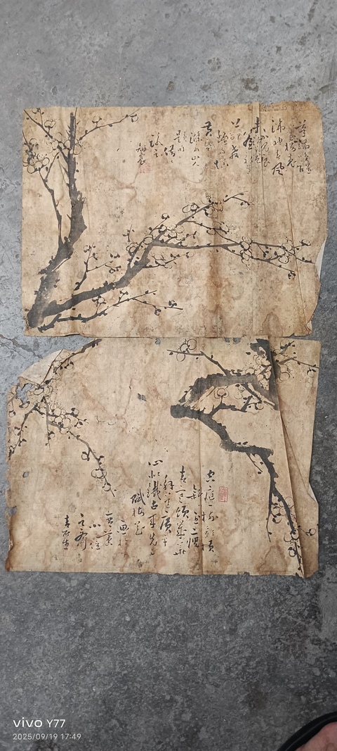 古玩字畫梅花四幀真品鑒賞圖