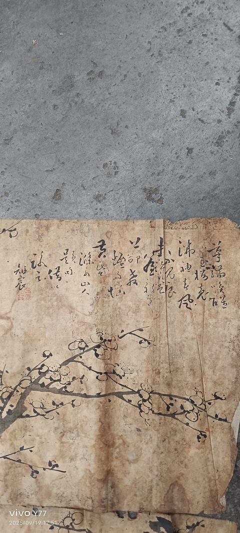 古玩字畫梅花四幀真品鑒賞圖