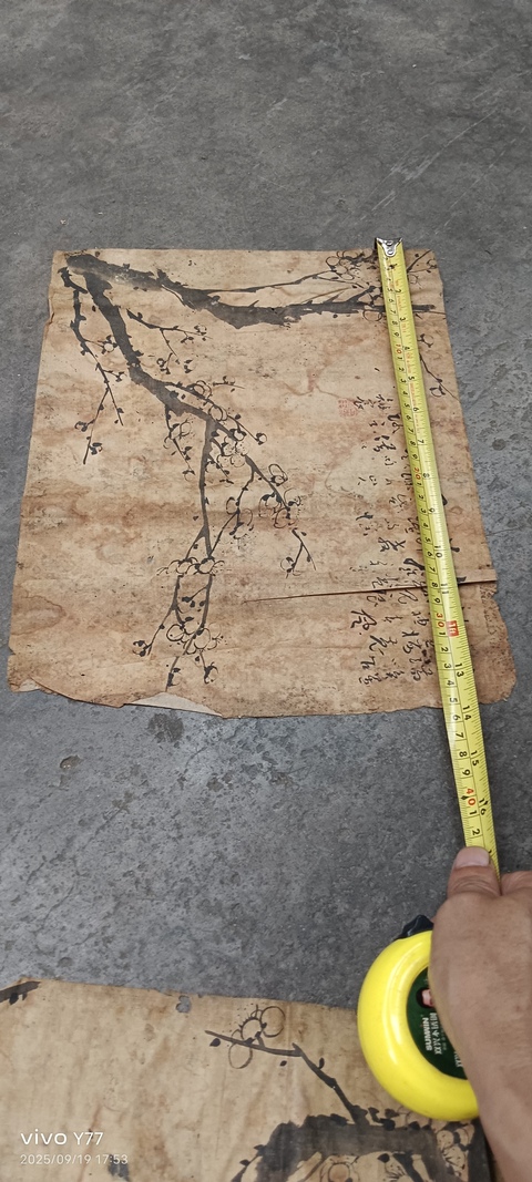 古玩字畫梅花四幀真品鑒賞圖