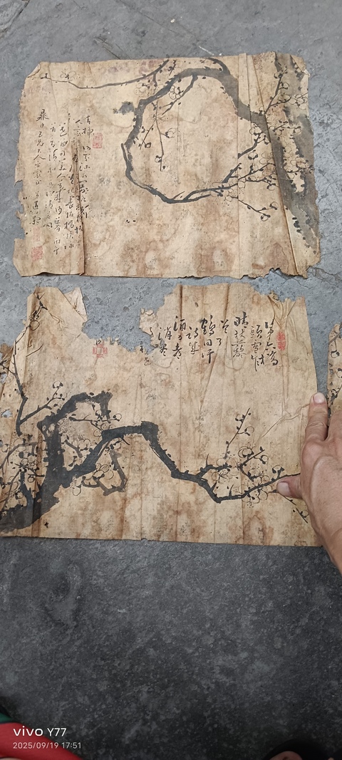 古玩字畫梅花四幀真品鑒賞圖