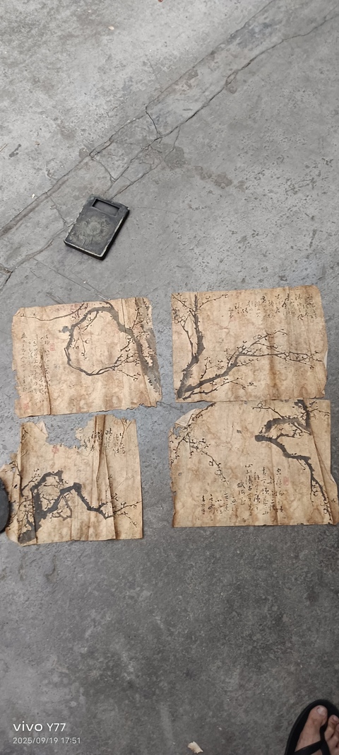 古玩字畫梅花四幀真品鑒賞圖