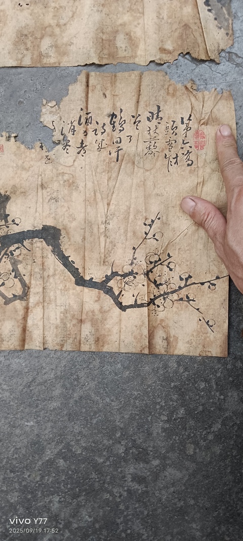 古玩字畫梅花四幀真品鑒賞圖