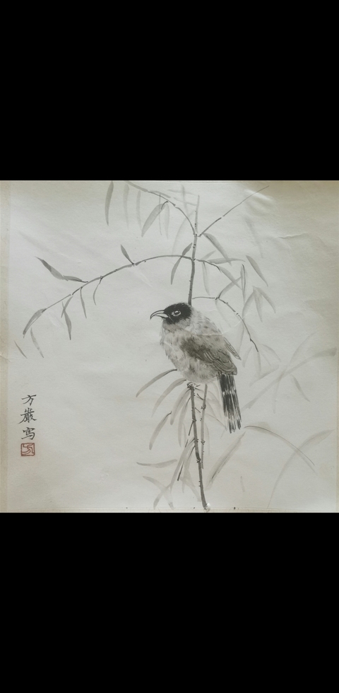 古玩字畫浙江師范大學(xué)美術(shù)學(xué)院教授方嚴(yán)枝頭鳴禽拍賣，當(dāng)前價格699元