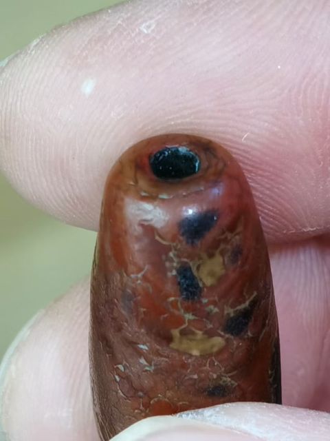 古玩雜項珠真品鑒賞圖