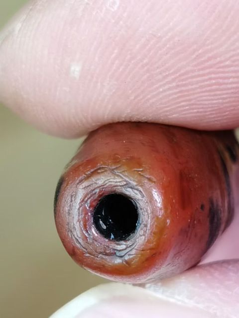 古玩雜項珠真品鑒賞圖