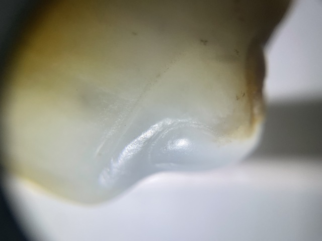 古玩玉器仿古玉梟真品鑒賞圖