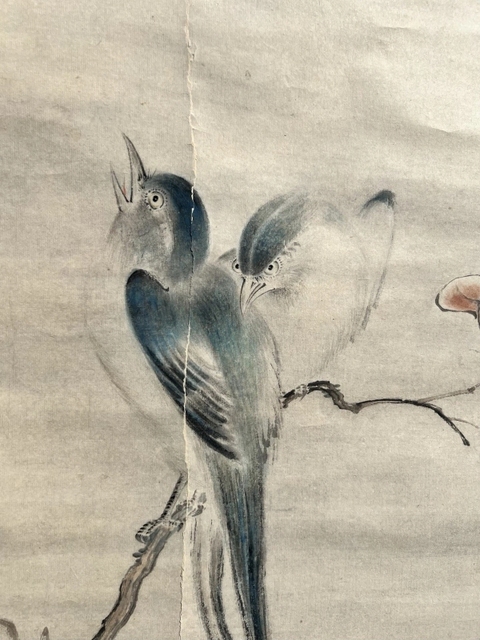 古玩字畫華嵒款花鳥真品鑒賞圖