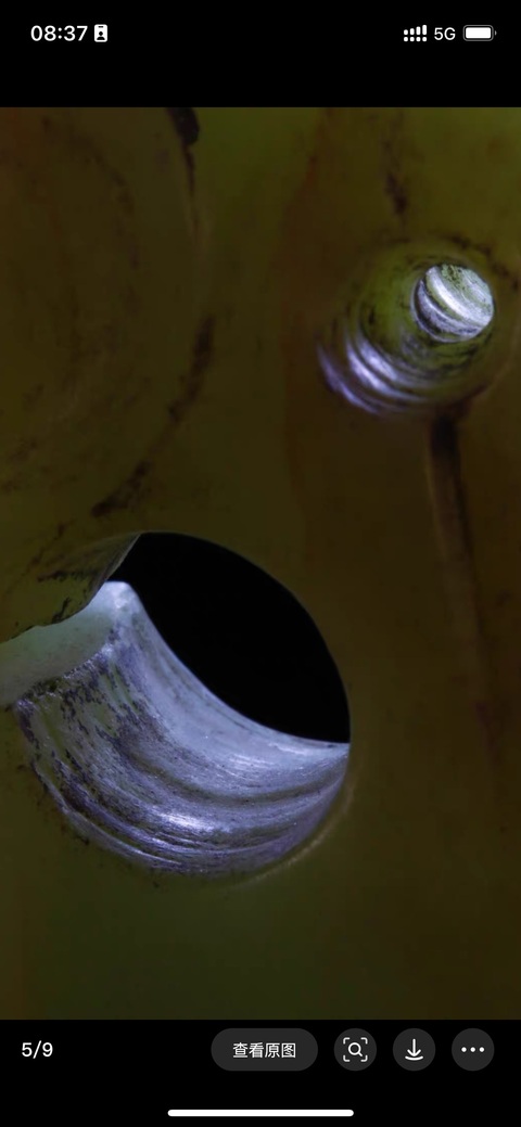 古玩玉器做舊仿“紅山文化”玉豬龍真品鑒賞圖