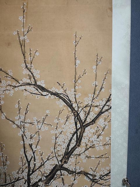 古玩字畫梅花真品鑒賞圖