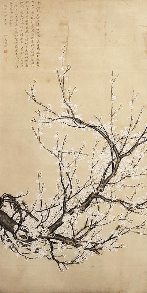 古玩字畫梅花真品鑒賞圖