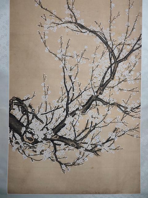 古玩字畫梅花真品鑒賞圖