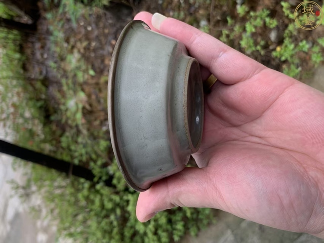 古玩陶瓷龍泉仿官青瓷直壁洗真品鑒賞圖