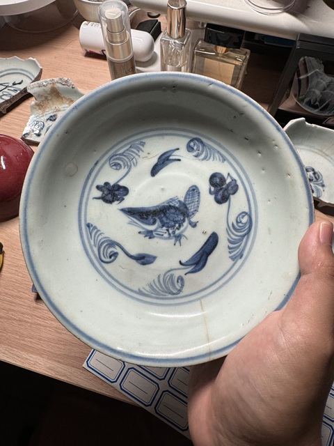 古玩陶瓷魚藻紋青花盤真品鑒賞圖